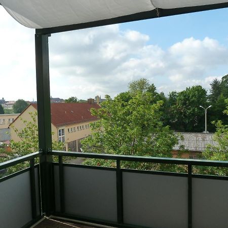 Fewo Dresden-Trachau Экстерьер фото